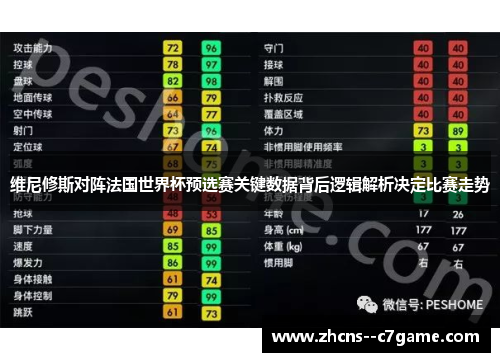 维尼修斯对阵法国世界杯预选赛关键数据背后逻辑解析决定比赛走势